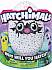 Hatchimals. Интерактивный питомец Голубой Пингвинчик, вылупляющийся из яйца  - миниатюра №4